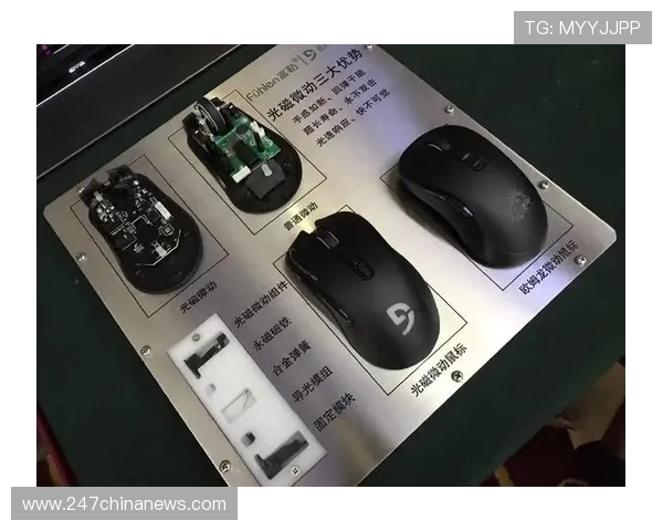 在D88尊龙在线官网找到专业客服支持，解决您的游戏疑问与技术难题，确保顺畅游戏体验